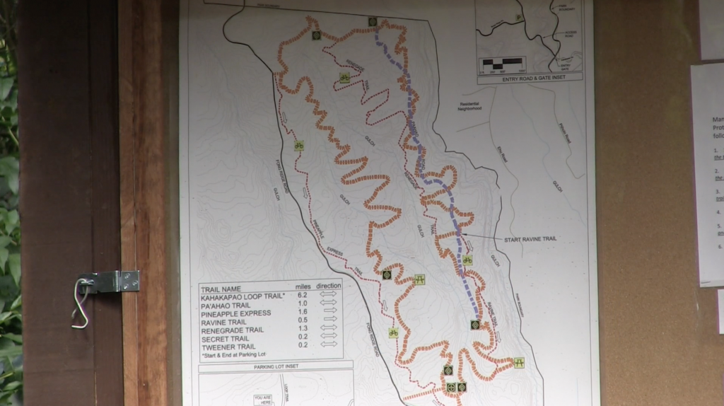 Lost hikers airlifted to safety from Kahakapao Trail in Makawao Maui Now