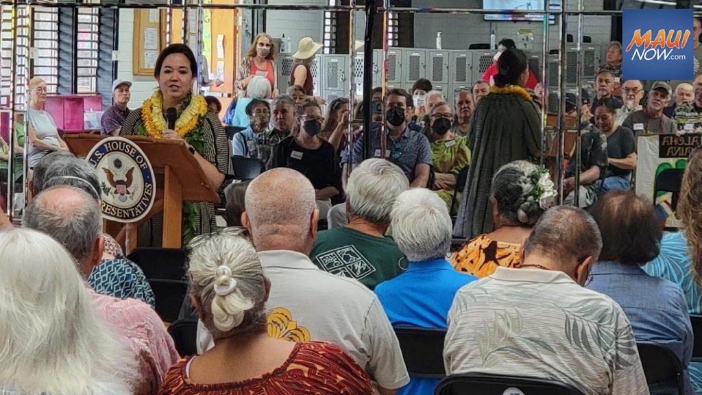 Rep Jill Tokuda To Host Maui Town Hall April 6 Maui Now   Jill Tokuda 1 1024x576 