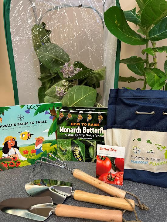 Bayer Hawaiʻi's Monarch Butterfly Kit giveaway raises awareness for  pollinators : Maui Now