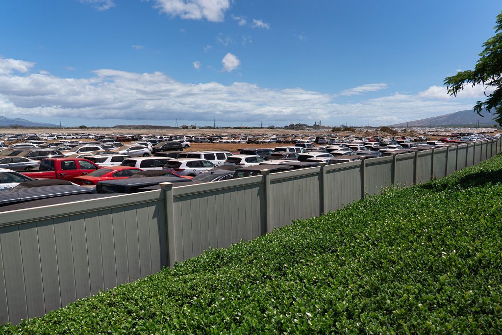 Rental cars pile up around Kahului - CMY3522 Enhanced NR 1024x683