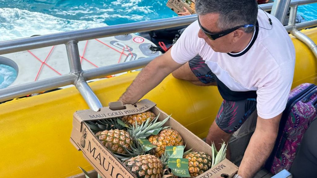 Maui Gold Pineapple launches relief initiative to help feed families