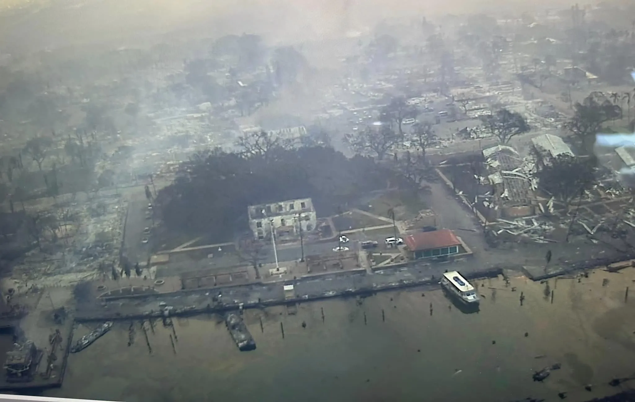 lahaina yacht club fire damage