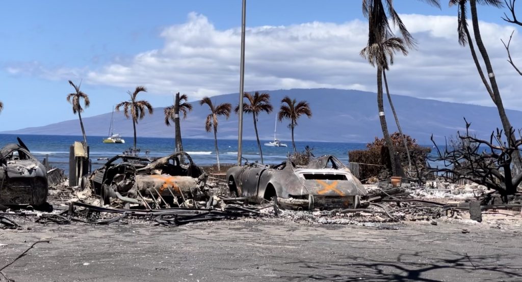 tourist death lahaina