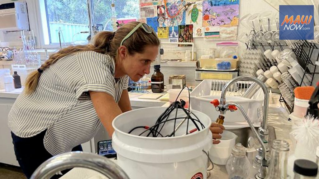 Safety of Maui drinking water after the August wildfires is the focus