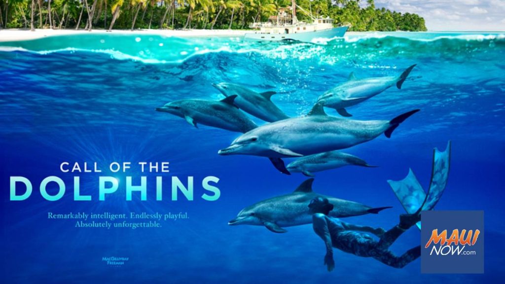 Maui premiere of ‘Call of the Dolphins’ brings marine science to the IMAX screen, June 25 | Maui Now