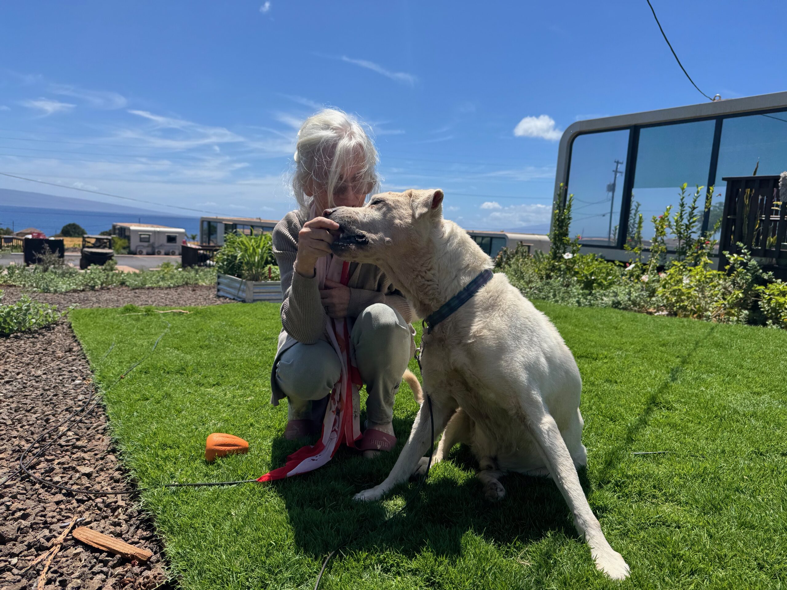 Ronda Colleen Pali and her dog Kahiko are shown here on June 23 in their yard at Ka La'i Ola temporary housing project in Lahaina. HJI / ROB COLLIAS photo
