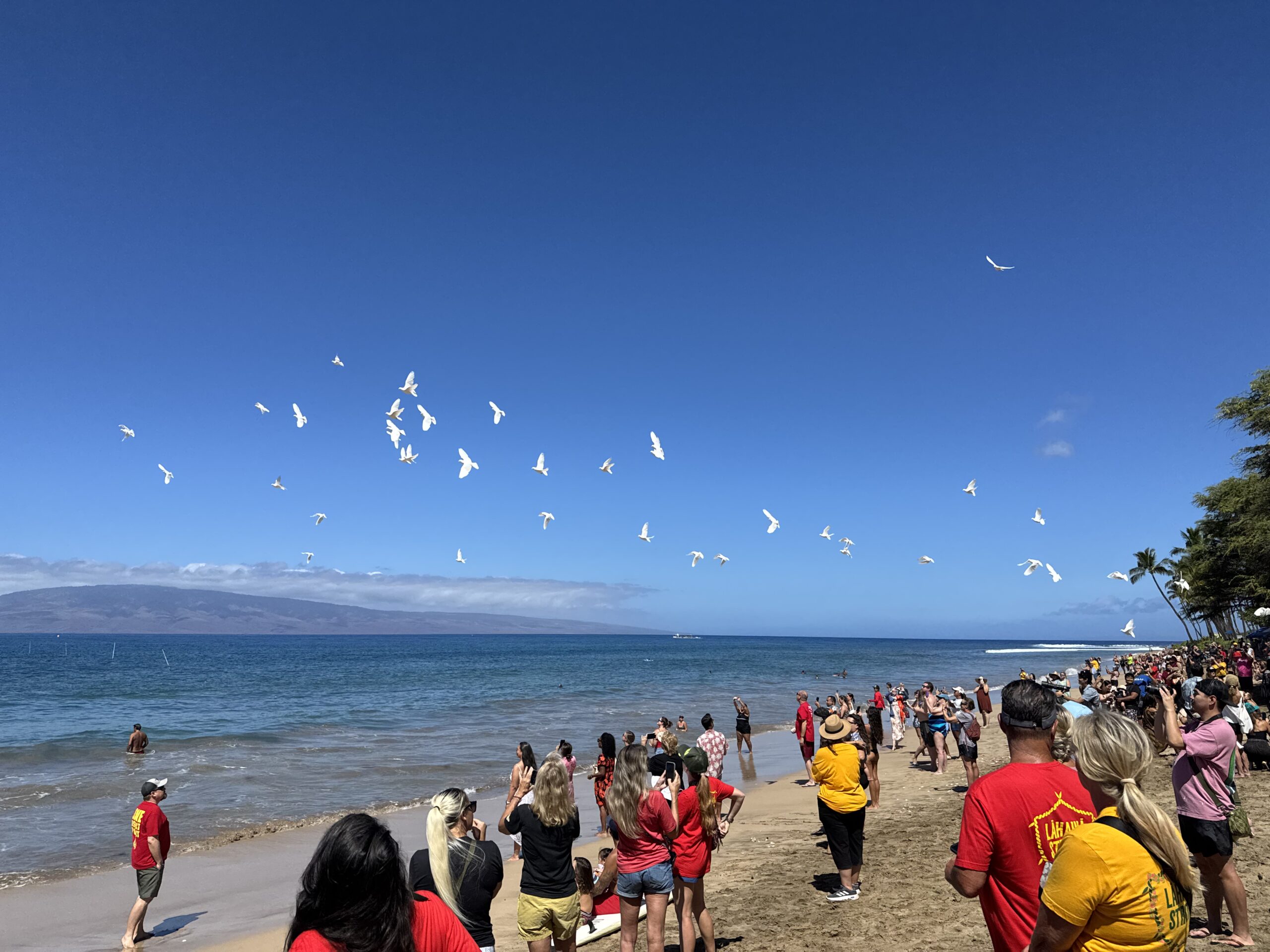 Doves were released at the Kuhinia Maui paddle out event on Friday at Hanakaʻōʻō Beach Park, marking the second anniversary of the deadly Maui wildfires. HJI / ROB COLLIAS photo