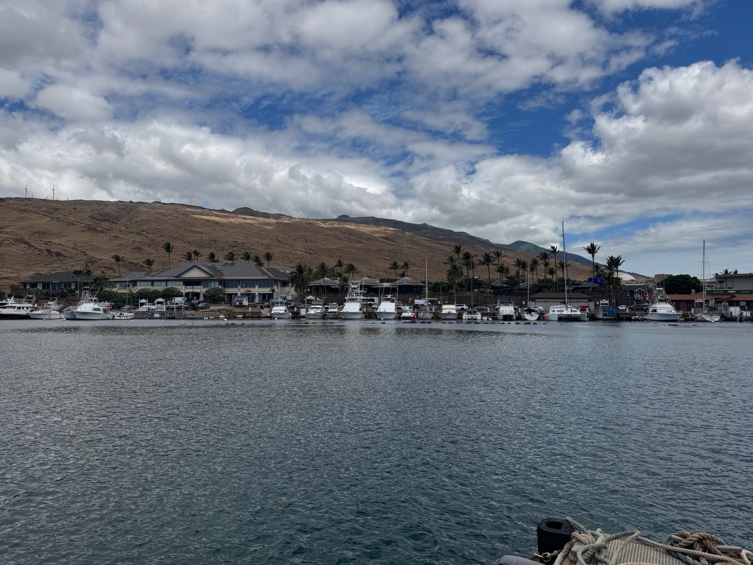 This photo shows a view of Ma'alaea Harbor on Tuesday from the makai side of the venue. HJI / ROB COLLIAS photo