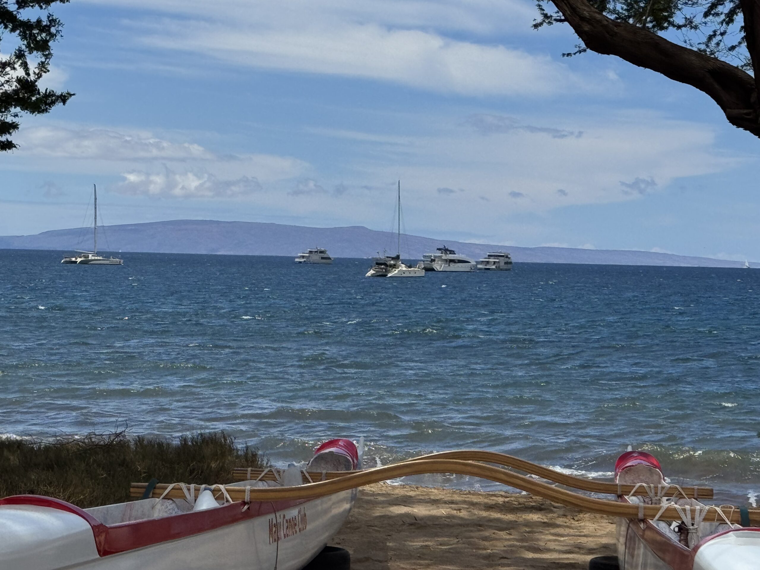 This photo shows some of the commercial boats moored at Sugar Beach mooring pod on Tuesday. HJI / ROB COLLIAS photo