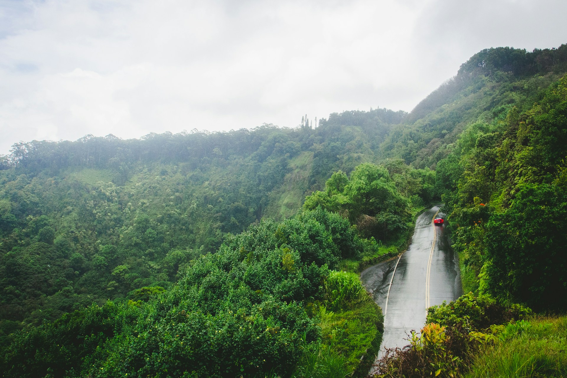 Coastal view with winding Hana Highway and rainforest