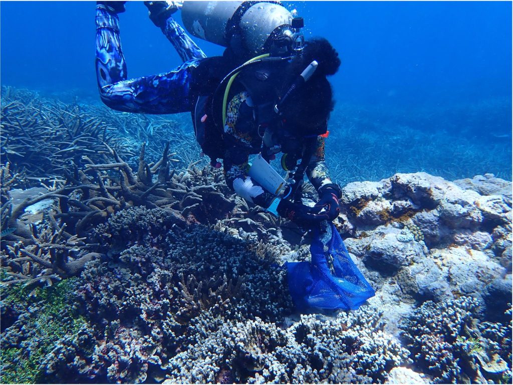 UH grad student’s research reveals plastic pollution threats to endangered coral reefs
