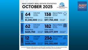 Single-family home sales rise as condo prices fall in October 2025