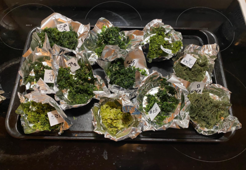 Coastal limu testing shows nutrient pollution patterns across Maui shores