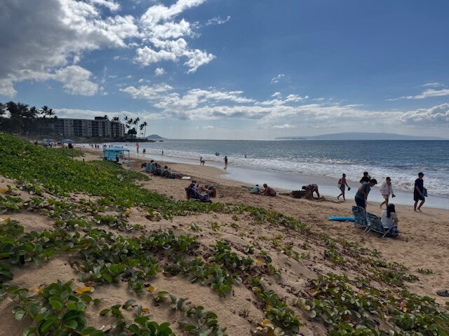 The ocean and beach at Kama'ole Beach Park I was busy on Tuesday. HJI / ROB COLLIAS photo