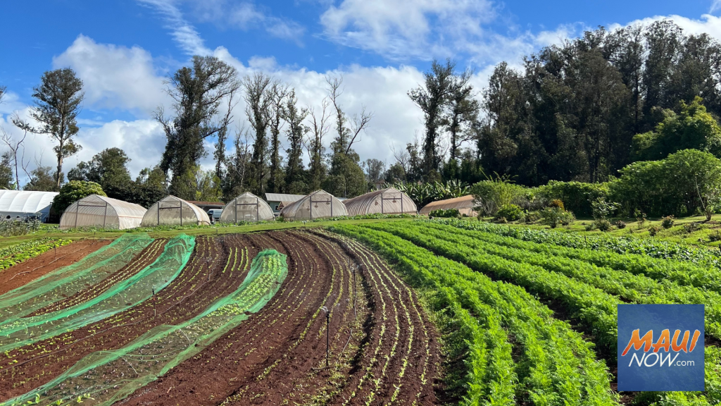 Agricultural Micro Grant Program 6.0 workshops set for Jan. 5 and 7