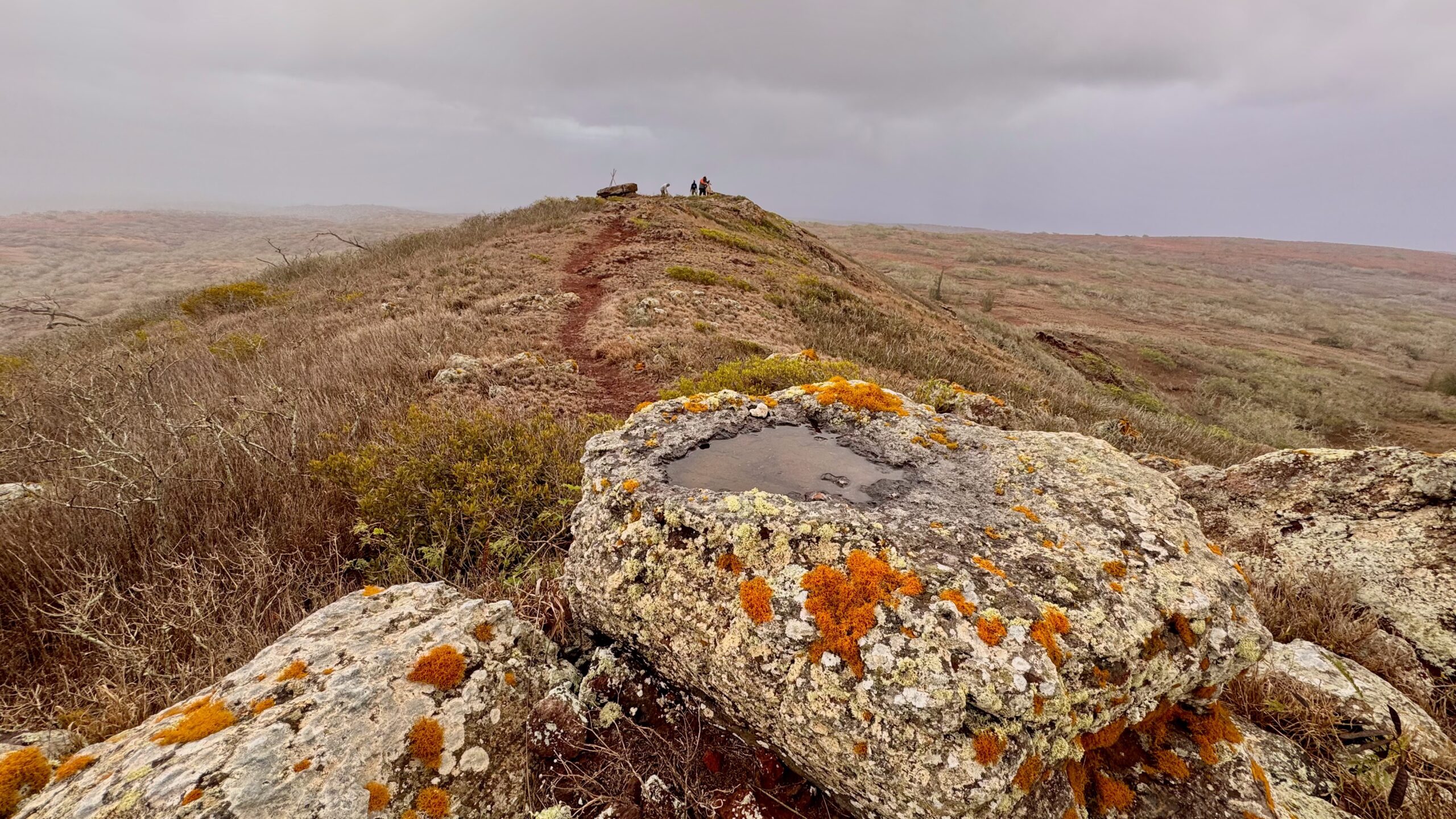 This photo shows a pooling of rain water at Puʻu Moaʻulaiki on Nov. 28, 2025, on Kaho'olawe. KAT HO photo