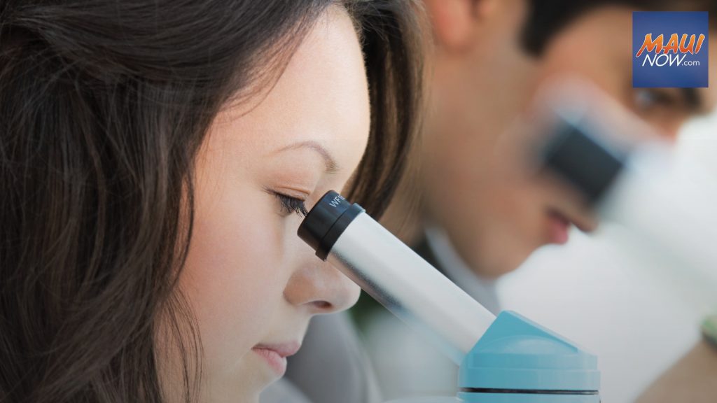 Bayer Hawaiʻi Life Sciences Scholarship applications now available