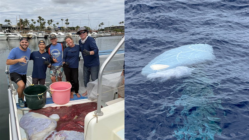 Rare discovery: Nearly intact whale placenta retrieved by Pacific Whale Foundation