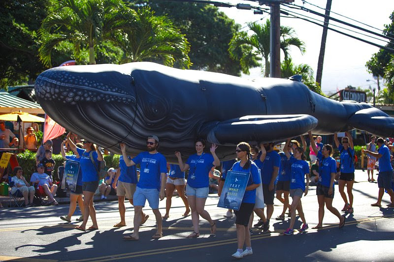Pacific Whale Foundation celebrates 45 years of whale research, Feb. 9-15