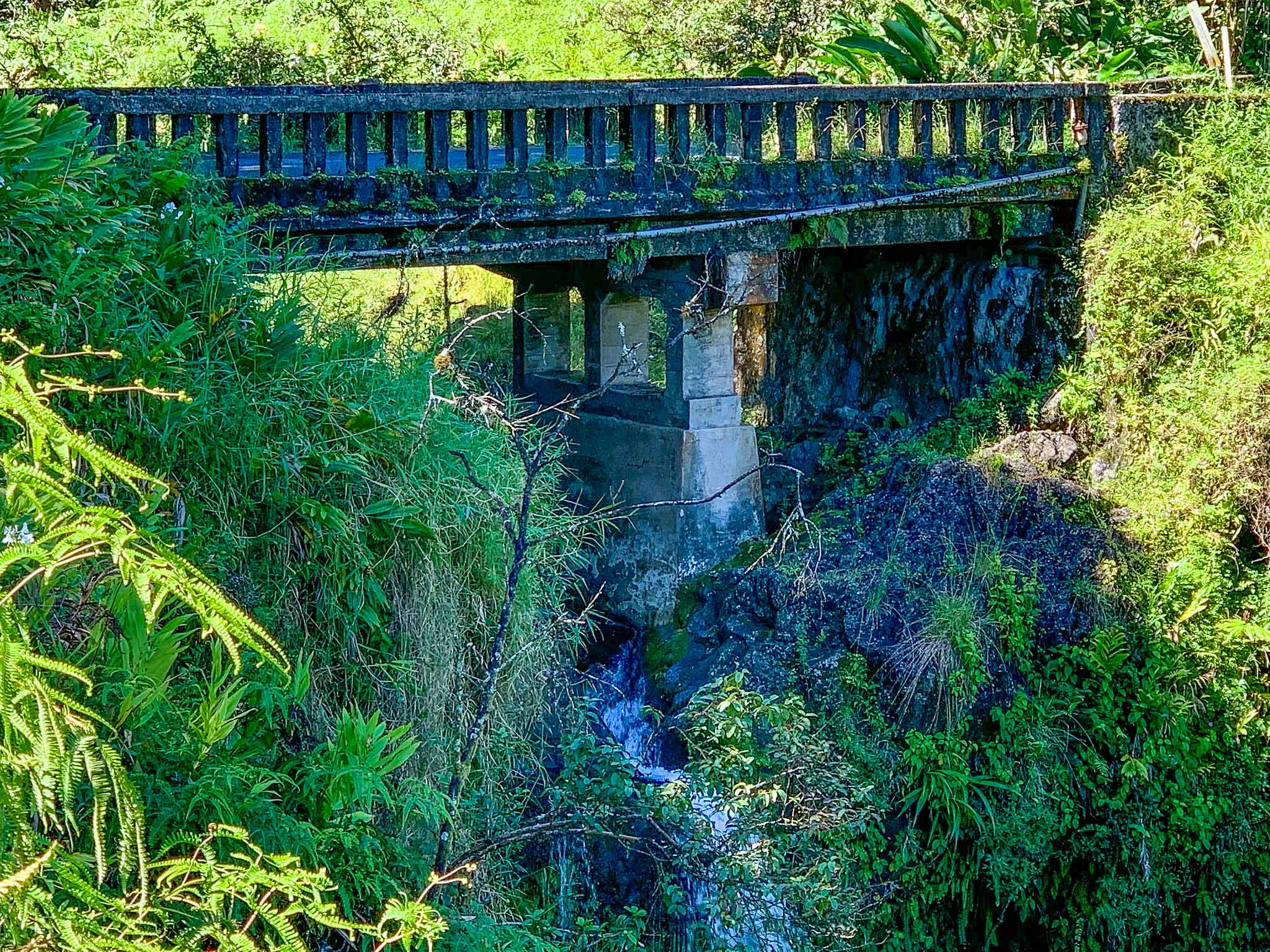 The Road to Hāna is tricky to navigate for tourists with its 600 turns and dozens of one-lane bridges. HJI / Cammy Clark photo 