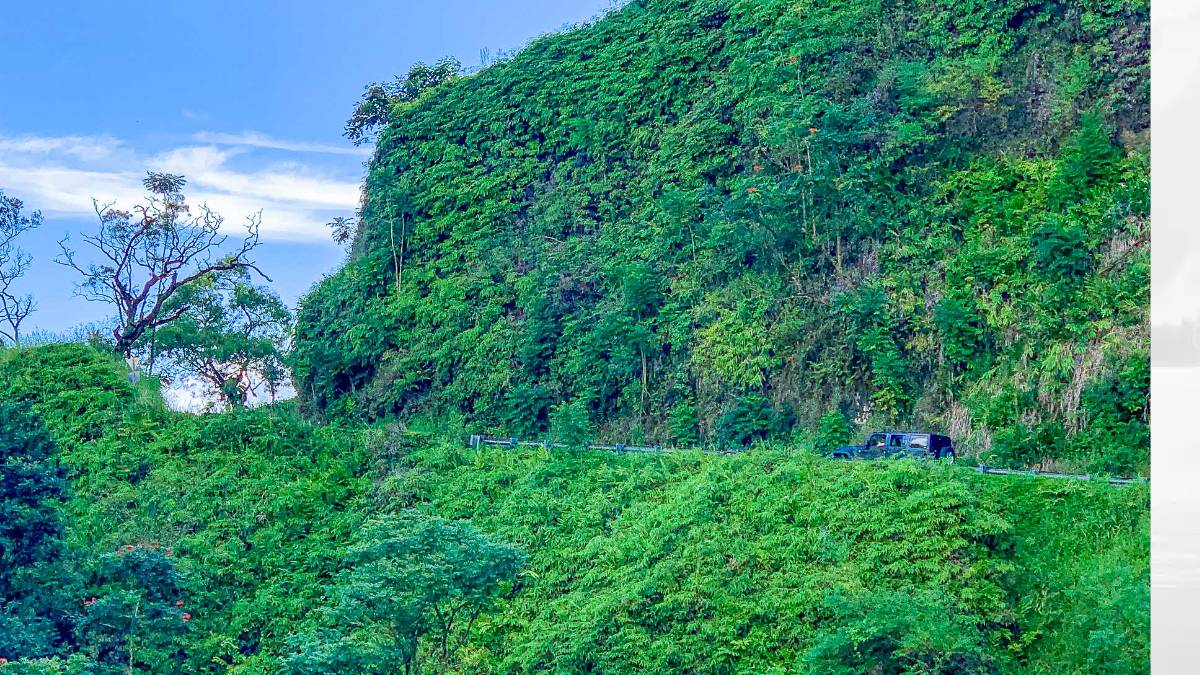 New signs to let tourists know where there are safe pullouts and restrooms are an action item in the draft of the 2026-2028 Maui Destination Management Action Plan. HJI / Cammy Clark photo