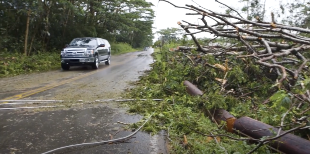Hawaiian Electric trimming trees, continuing preparations for severe weather this weekend