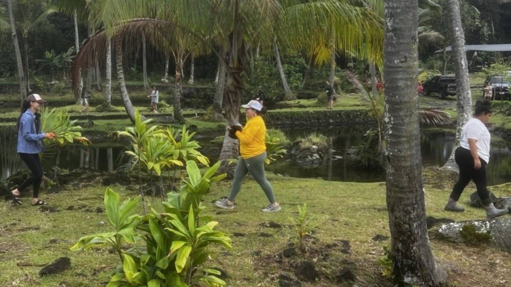 ‘Living laboratory’: UH Hilo genetics students visit traditional Hawaiian fishpond