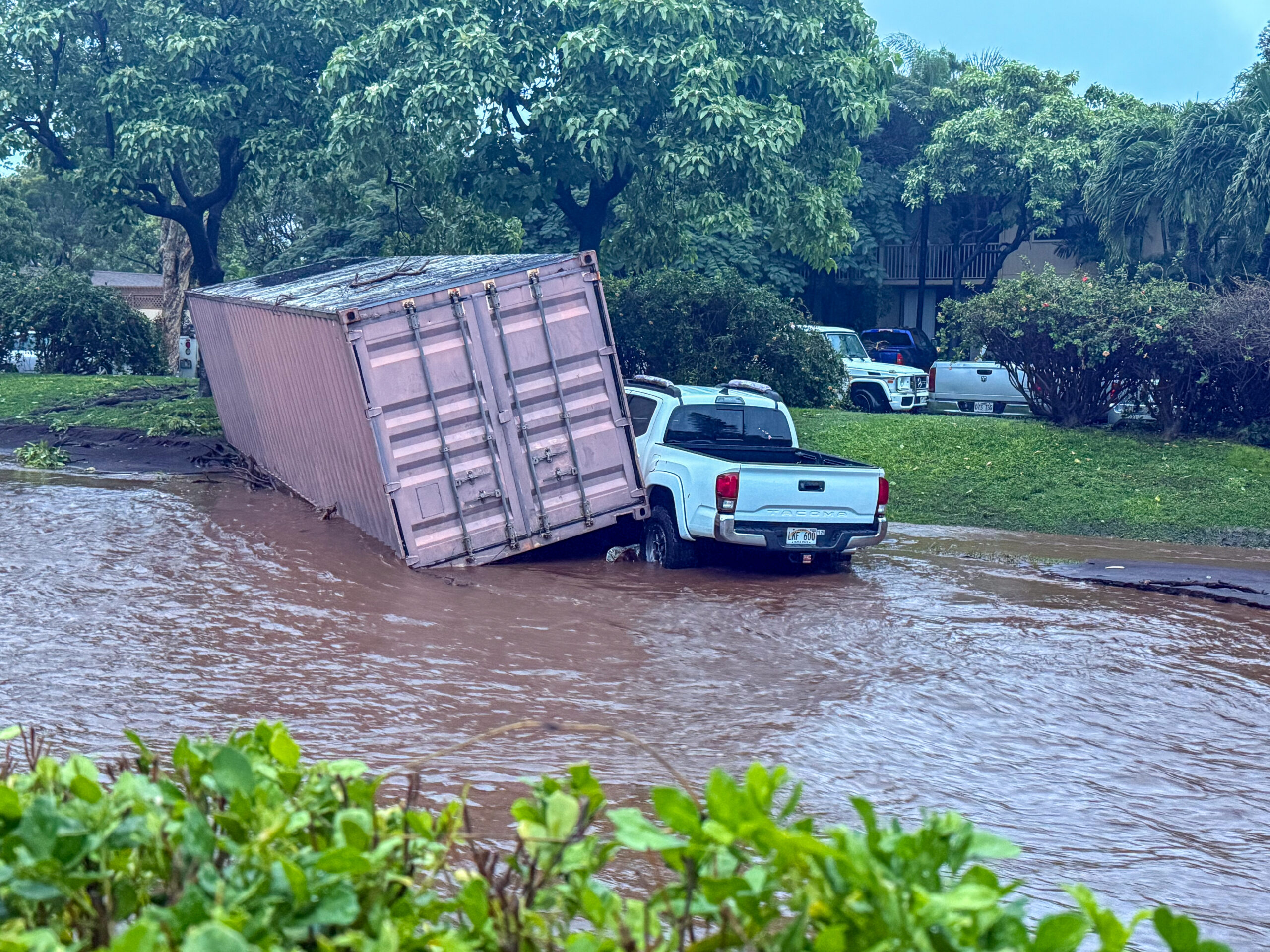 A pink storage container and a white truck collide in the middle of Kūlanihākoʻi Street during flooding on March 14, 2026. HJI / Cammy Clark photo