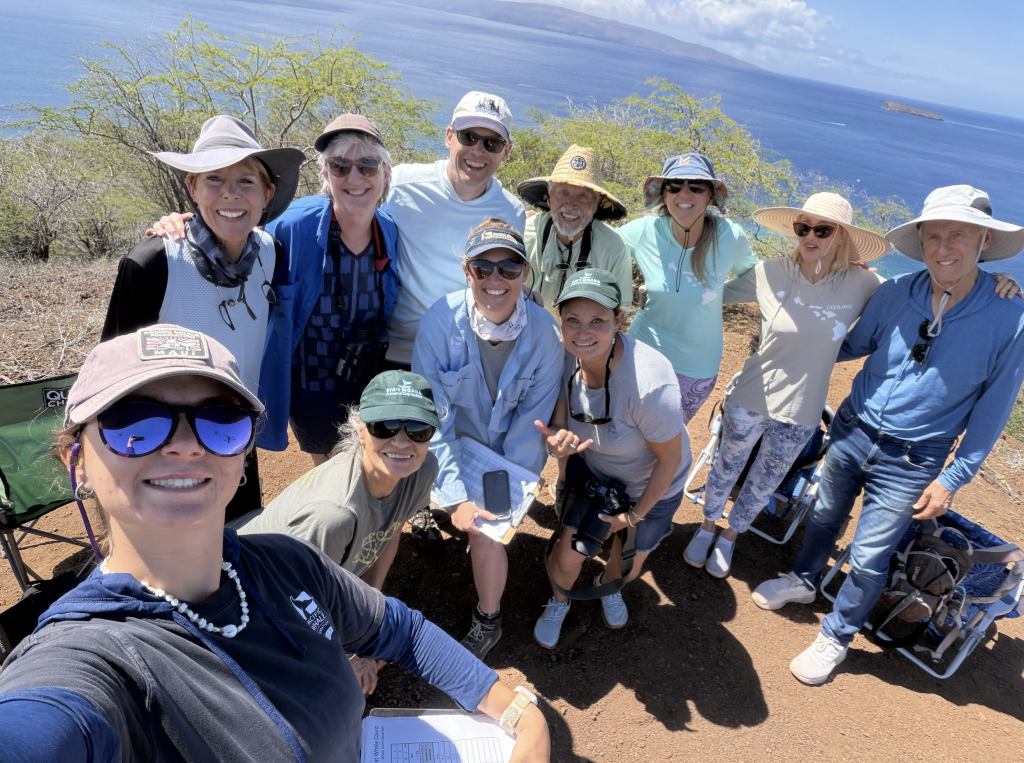 1,935 whales spotted across Hawaiʻi, 847 off Maui during second count for the 2026 season