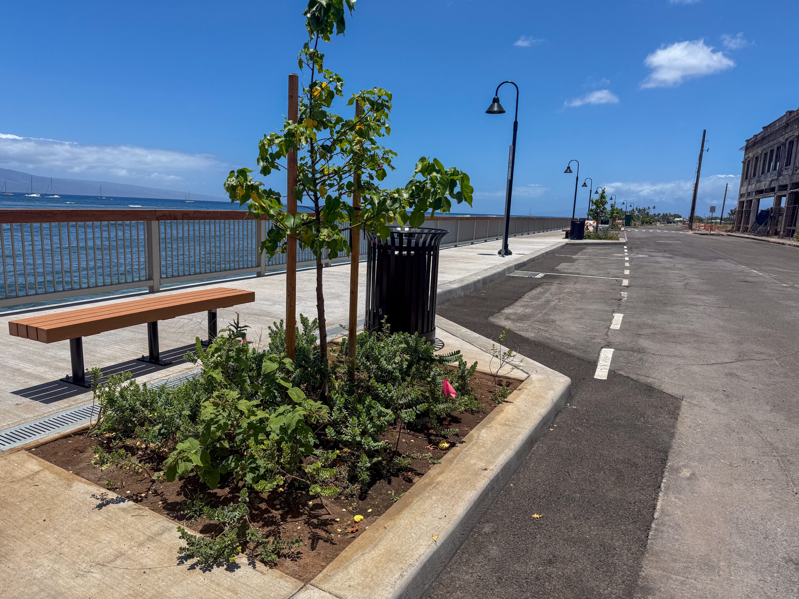 A railing and walkway improvement project planned before the fire has been completed with newly planted trees and lampposts along a stretch of the seawall. HJI/ Cammy Clark photo