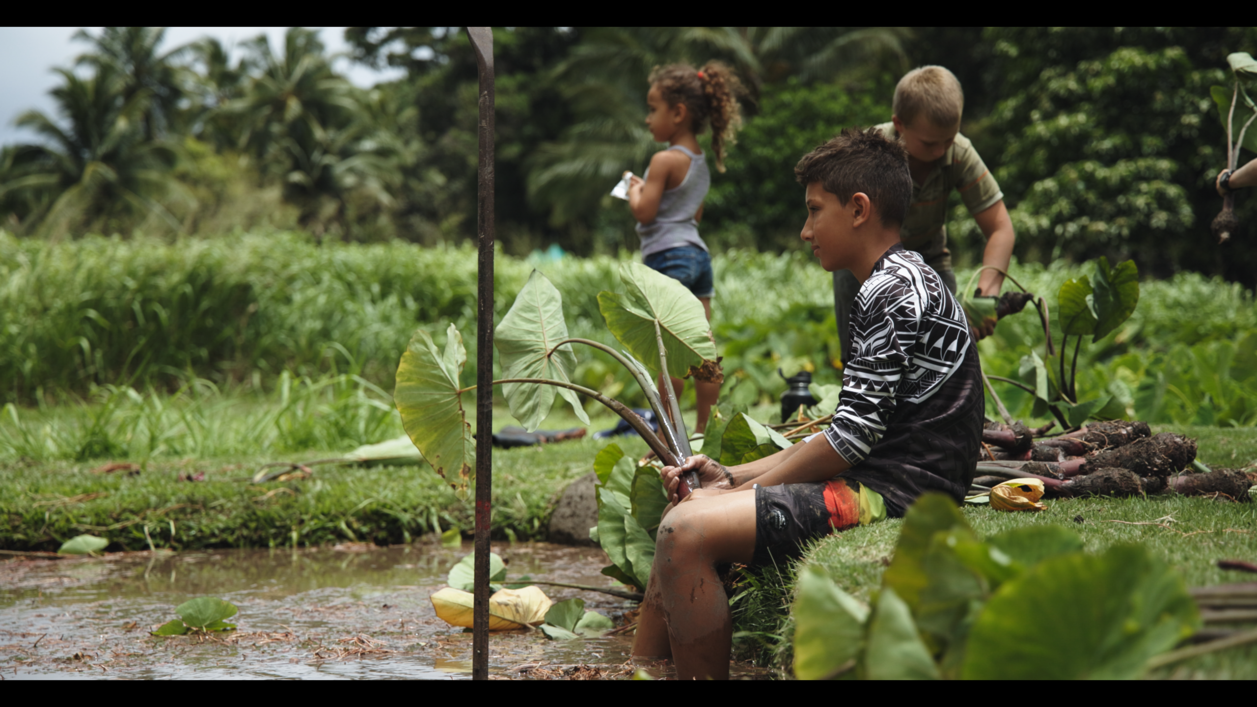 A scene from the award-winning documentary "Lahaina Rising." (Photo Courtesy: Wailuku Film Festival)