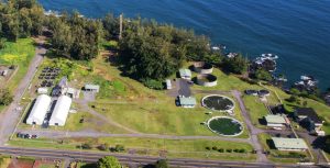 UH researchers join $13.5M federal aquaculture consortium