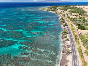 Olowalu coastal resilience designs set for unveiling July 9 at Maui Ocean Center Sphere