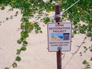 Sections of Baldwin Beach Park will temporarily close in phases due to dune restoration work